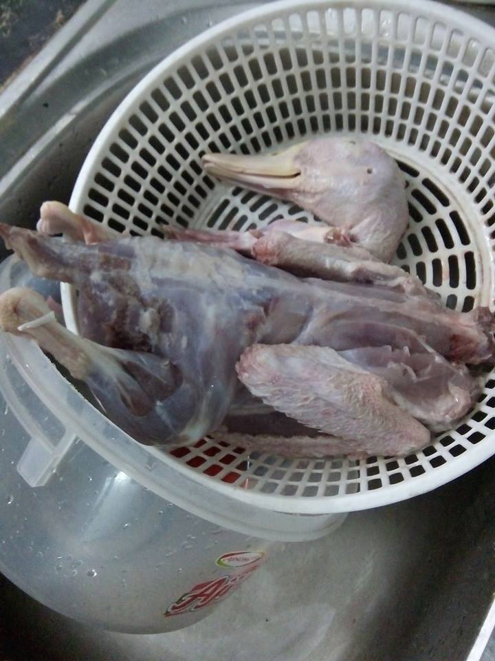 Không may ra mắt nhà chồng, mà nhổ lông vịt thế này là xong! - 3