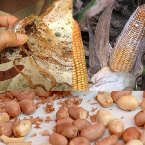 Nhiều năm ăn chay vẫn mắc ung thư gan, khi biết nguyên nhân người bệnh đã “đứng hình” - 3