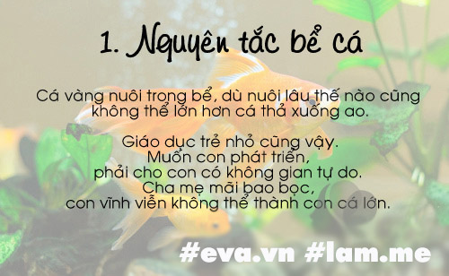 4 bài học nuôi dạy con nhiều mẹ Việt đọc nhất 2016, ai chưa biết khó nuôi con giỏi - 9