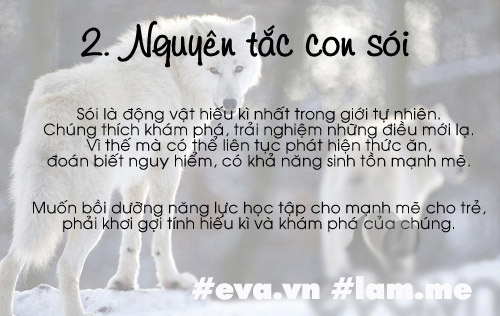 4 bài học nuôi dạy con nhiều mẹ Việt đọc nhất 2016, ai chưa biết khó nuôi con giỏi - 10