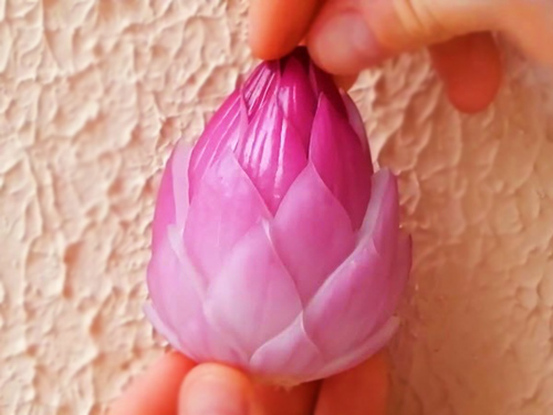 4 cách tỉa hoa trang trí món ăn đẹp mắt từ hành tây - 3