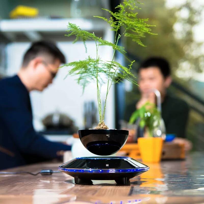 Cây trồng chậu xưa rồi, Tết năm nay mọi người amp;#34;chơiamp;#34; bonsai bay - 8