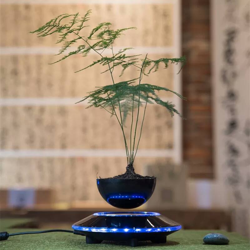 Cây trồng chậu xưa rồi, Tết năm nay mọi người amp;#34;chơiamp;#34; bonsai bay - 11