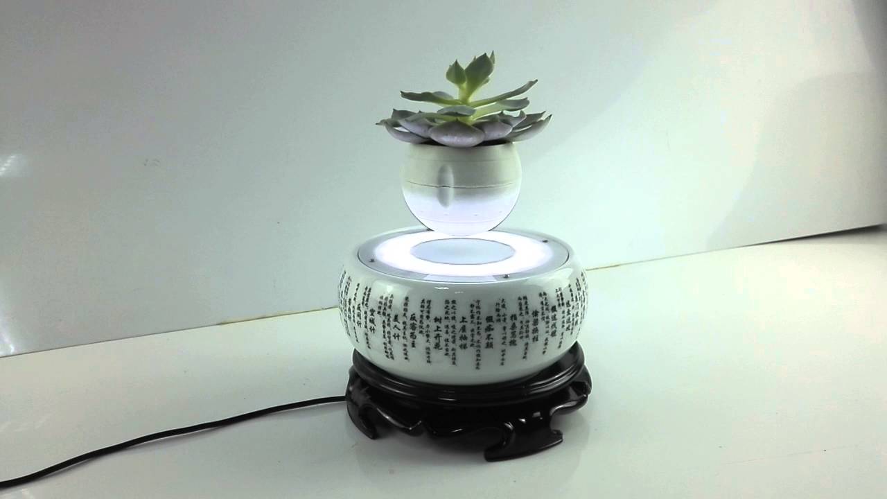 Cây trồng chậu xưa rồi, Tết năm nay mọi người amp;#34;chơiamp;#34; bonsai bay - 10