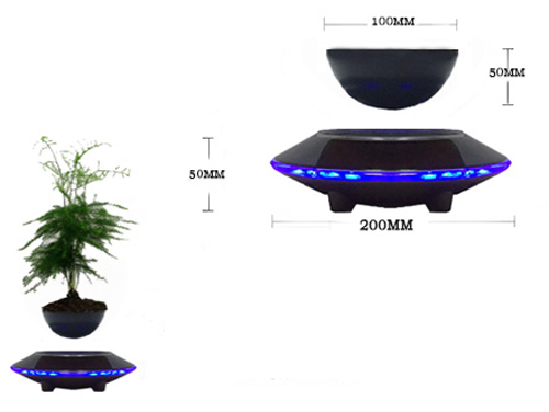 Cây trồng chậu xưa rồi, Tết năm nay mọi người amp;#34;chơiamp;#34; bonsai bay - 9