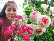 Nhà đẹp - Vườn hoa hồng đầy ký ức của mẹ Bắc Giang bị chê "dở hơi" vì trồng hoa