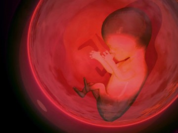 Những bí mật mẹ chưa biết về túi ối - "ngôi nhà" của con suốt 9 tháng 10 ngày