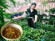 Nhà đẹp - Cô giáo Hà Nội mách cách làm “nước thần” diệt sâu bọ, đuổi muỗi, lau nhà,... cực tốt