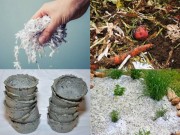 Nhà đẹp - Chị em rủ nhau mang giấy vụn ra làm vườn, vừa cực tốt lại không tốn "một xu"