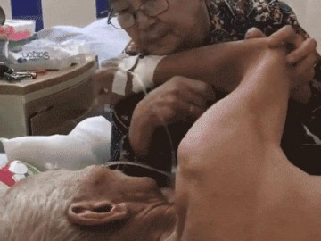 Chồng bệnh nặng, cụ bà thủ thỉ vỗ về tình cảm như thuở còn son