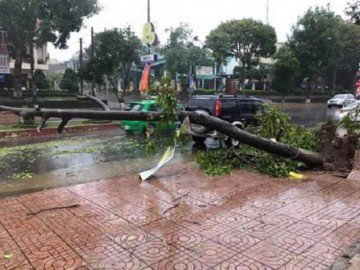 Bão số 12 chuyển hướng “thần tốc” qua Tây Nguyên, Đà Lạt gió quật mạnh