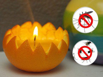 4 cách đuổi muỗi trong phòng ngủ cực kỳ hiệu quả mà lại dễ làm