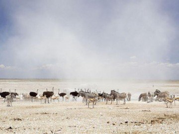 Những quốc gia Châu Phi an toàn nhất để vi vu một mình