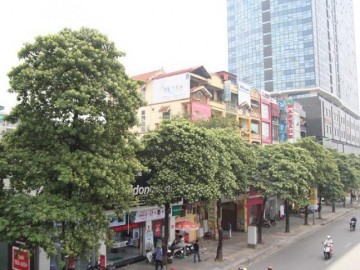 Nhìn những bức ảnh này bạn sẽ hiểu vì sao dân Hà Nội tức ngực, khó thở với hoa sữa