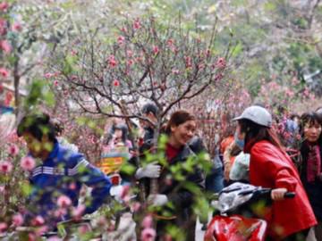 Thưởng Tết Nguyên đán Mậu Tuất 2018 sẽ như thế nào?