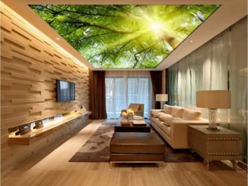 Sàn nhà 3D đã đẹp rồi, giờ có trần nhà 3D còn đẹp kinh ngạc hơn nữa