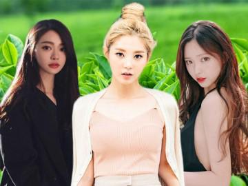 Liệu trà xanh có thật sự mang đến công dụng giảm cân "thần tốc" như lời đồn?