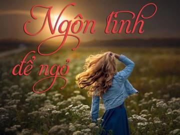 Ngôn tình để ngỏ: Chạy trốn hôn nhân (Kết 2)