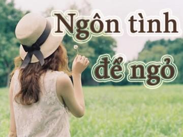 Ngôn tình để ngỏ: Chạy trốn hôn nhân (Kết 3)