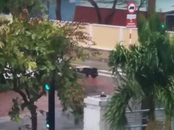 Cập nhật bão số 16: Côn Đảo bắt đầu nổi gió mạnh, đèn đường, cây cối đổ rạp