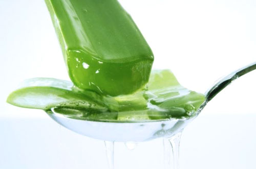 Thảo dược: con dao hai lưỡi với bà bầu - 1