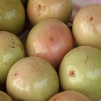 Chọn quả bơ ngon như thế nào? - 5
