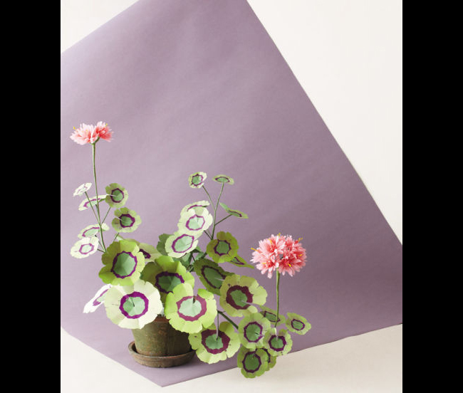 Nghệ sĩ hoa giấy Livia Cetti nổi tiếng với những sản phẩm sáng tạo mà dễ thực hiện. Cuốn sách hướng dẫn làm hoa giấy của cô cũng luôn nằm trong top những cuốn sách bán chạy nhất trong giới DIY. 
