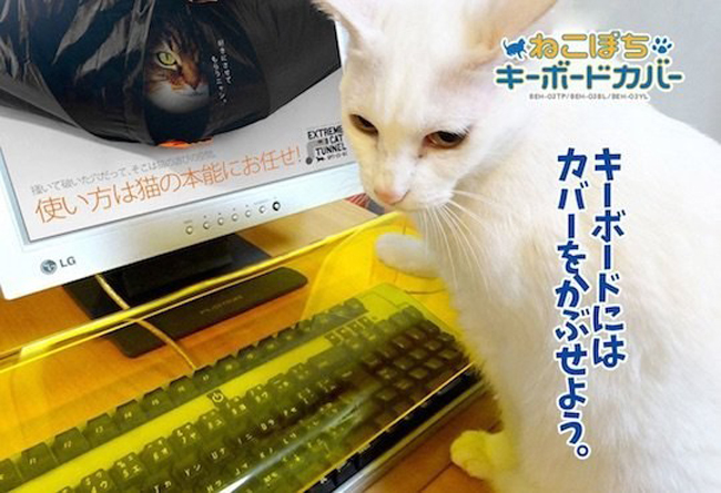 12. Vỏ bọc bàn phím anti-mèo
