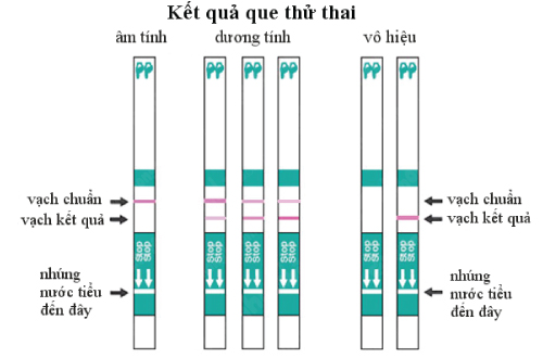 Dùng que thử thai - Phải làm đúng theo cách này mới cho kết quả chính xác - 2