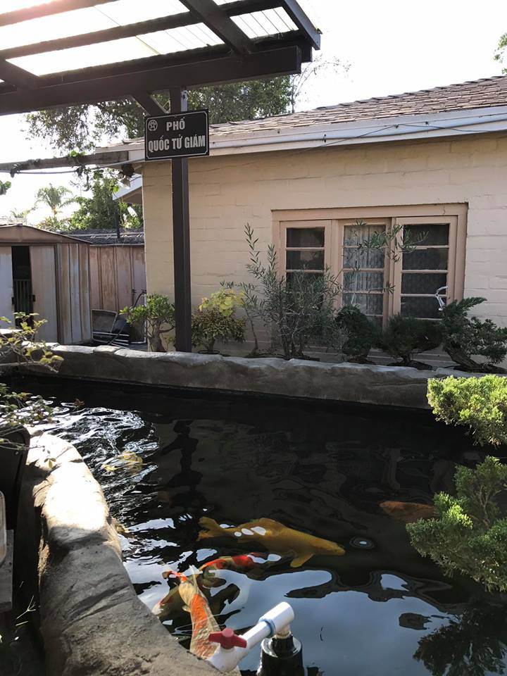 Không thua kém Bằng Kiều, 2 sao Việt này cũng cực thành công và tậu nhà triệu đô ở đất Mỹ - 9