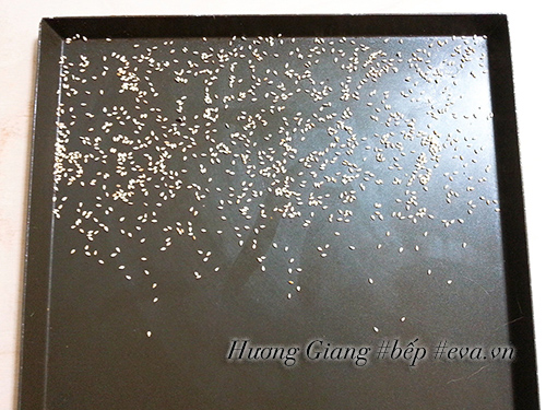 Kẹo lạc giòn tan mời khách ngày Tết - 3