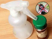 Nhà đẹp - Cả "họ nhà ruồi" cũng phải chào thua loại nước tự chế đáng sợ này của chủ nhà