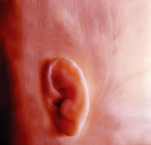 Những bức ảnh siêu âm rõ từng centimet khiến bác sĩ cũng phải giật mình - 2