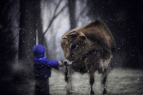 Ông bố lần đầu học chụp ảnh, kết quả khiến ai nhìn thấy cũng phải amp;#34;ngất ngâyamp;#34; - 1