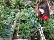 Nhà đẹp - Hoa khôi ĐH Xây dựng khoe vườn rau xanh mát trong vườn nhà ai cũng thích mê