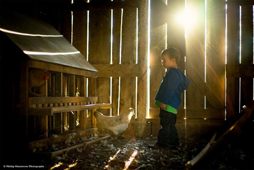 Ông bố lần đầu học chụp ảnh, kết quả khiến ai nhìn thấy cũng phải amp;#34;ngất ngâyamp;#34; - 11