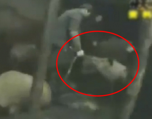 Tin tức 24h nổi bật: Đám tang gây sốc vì có 50 chân dài múa cột trên nóc xe - 5