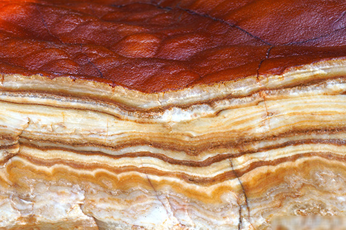 Sự thật về miếng thịt kho tàu hoàn hảo, ai cũng thèm amp;#34;rớt nước miếngamp;#34; giá 1,3 tỷ đồng - 3