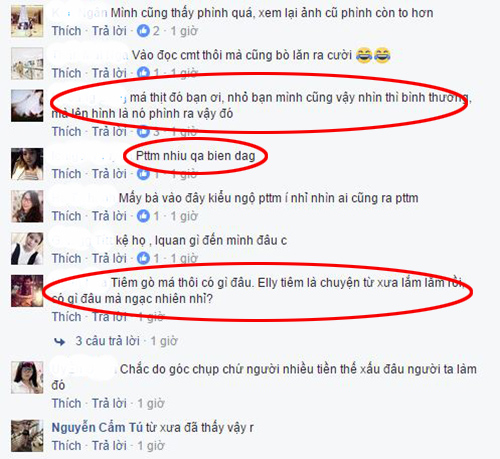 Dân cư mạng xôn xao vì gương mặt lệch bất thường của Elly Trần - 4