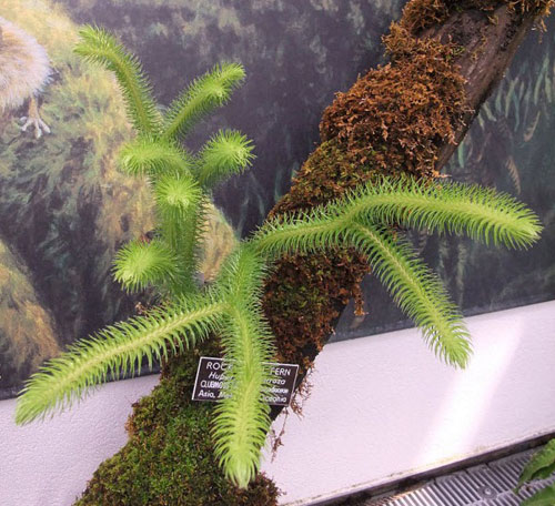 Người bị tai biến hối hận cả đời vì không biết tin này sớm - 2