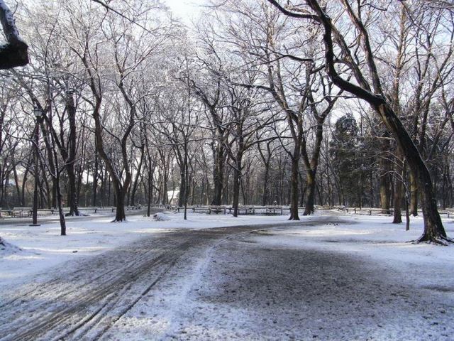 Bí ẩn chiếc túi chứa nhiều bộ phận cơ thể trong thùng rác - 1