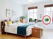 Nhà đẹp - Phong thủy phòng ngủ cho trẻ giúp bé luôn ngoan ngoãn, học giỏi