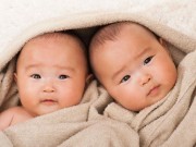 Tin tức - Hy hữu: Hai bé trai sinh đôi nhưng không được công nhận là anh em ruột