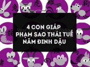 Nhà đẹp - 4 con giáp phạm sao Thái Tuế năm 2017 khiến mọi việc đều không thuận lợi