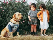 Làm mẹ - Dân mạng cười chảy nước mắt với biểu cảm “sợ chó số một” của bé gái đáng yêu