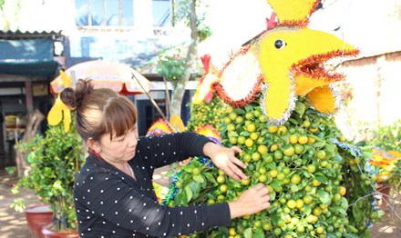 Hoa Tết đồng bằng sông Cửu Long: Được giá vẫn không vui - 1