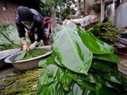 Eva tám - Hãi hùng mỗi lần Tết đến, mẹ chồng bắt gói 50 cái bánh chưng
