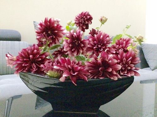 Học cách cắm bình hoa thược dược amp;#34;chuẩn 10 điểmamp;#34; của mẹ Hà thành si mê hoa - 8