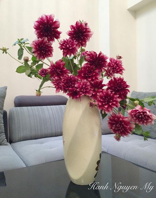 Học cách cắm bình hoa thược dược amp;#34;chuẩn 10 điểmamp;#34; của mẹ Hà thành si mê hoa - 4