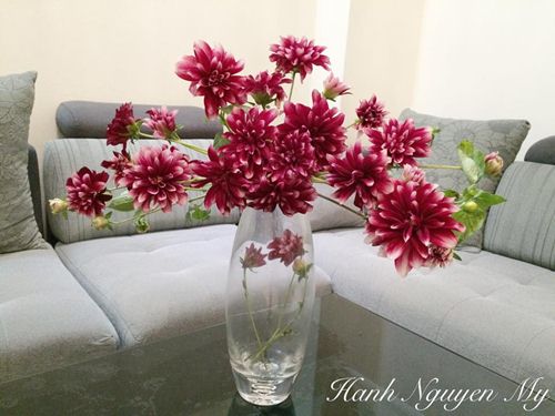 Học cách cắm bình hoa thược dược amp;#34;chuẩn 10 điểmamp;#34; của mẹ Hà thành si mê hoa - 5